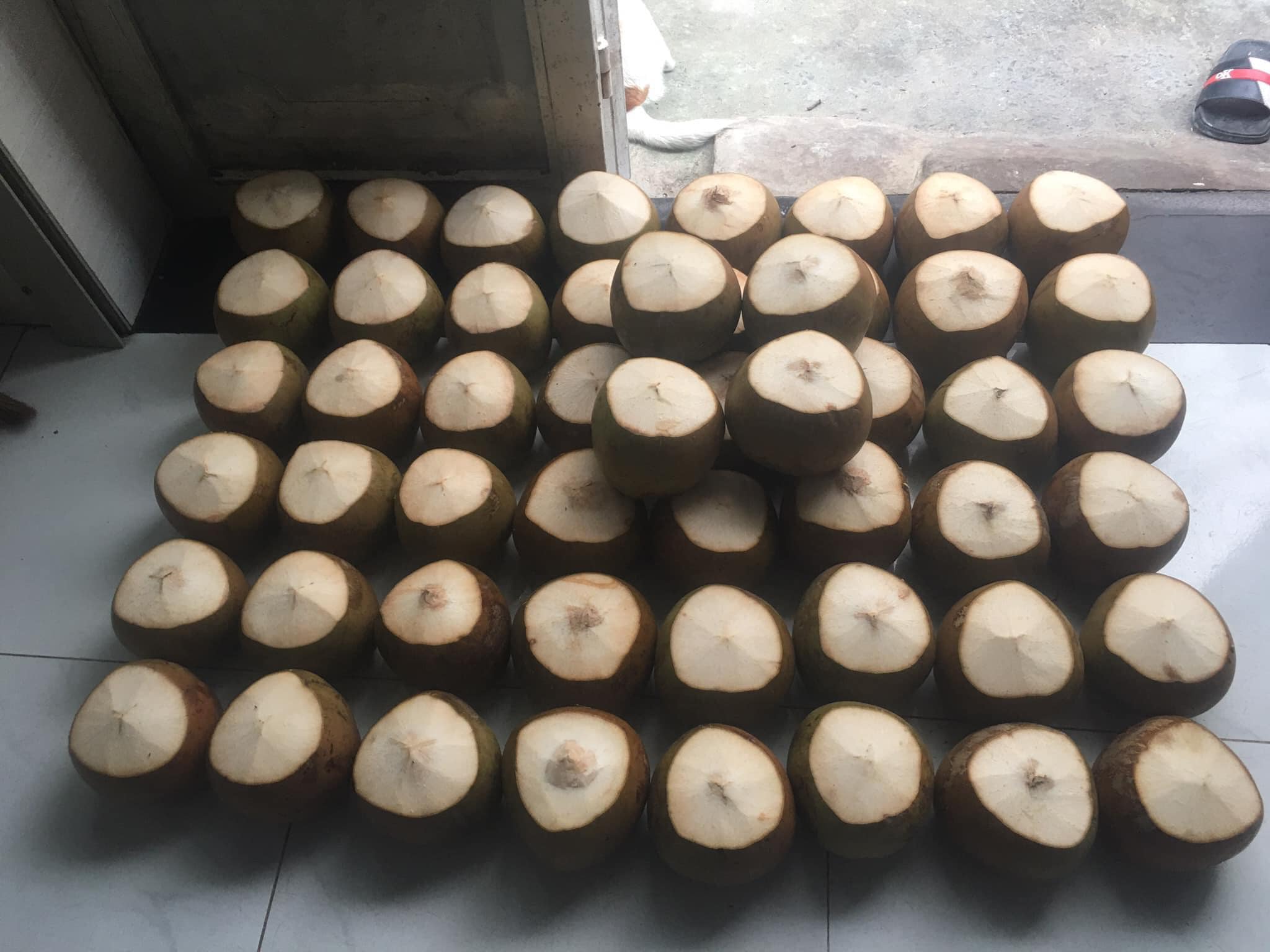 Dừa Xiêm Gọt Lạnh